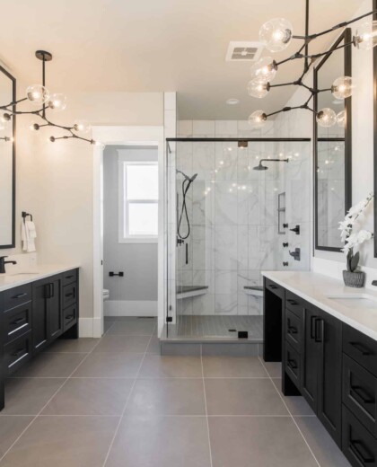 bathroom shot
