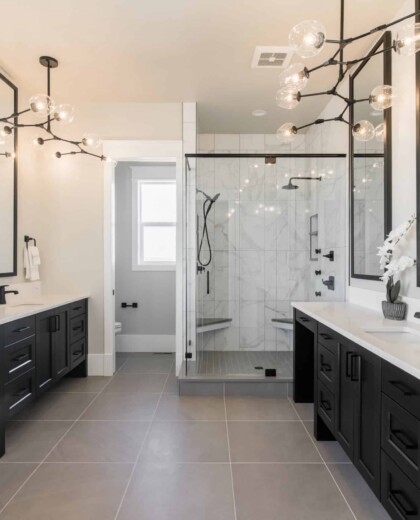 bathroom shot
